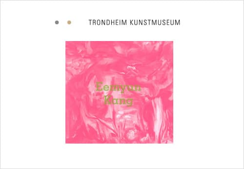 Solo exhibition at Trondheim Museum
